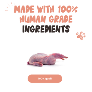 Quail Dog Treats