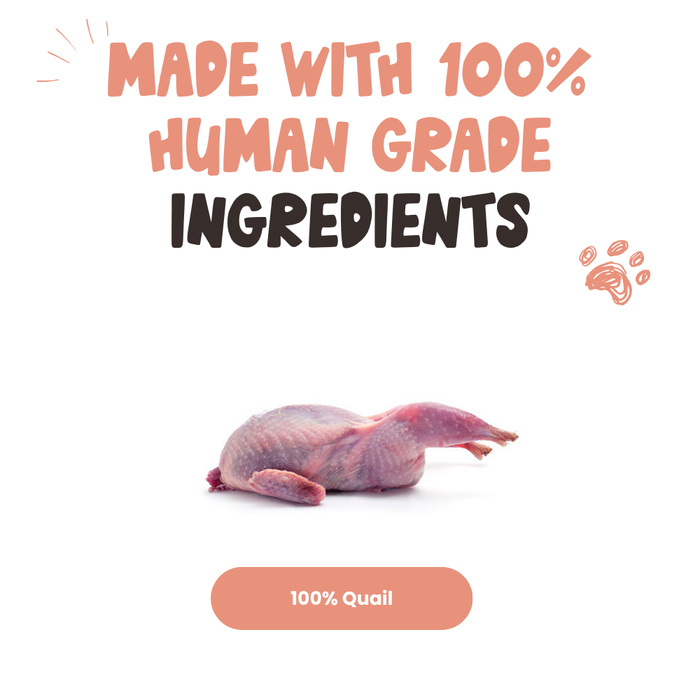 Quail Dog Treats