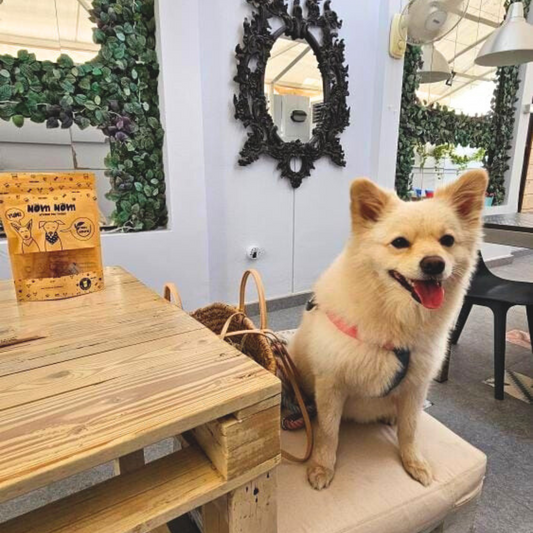 Healthy Dog Treats - Chicken & Beetroot Bites