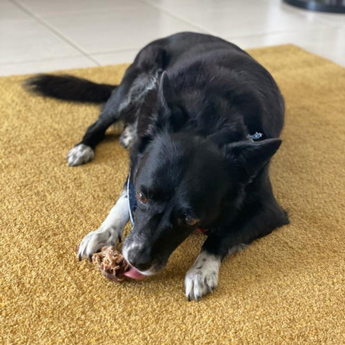 Duck Head Dog Chews