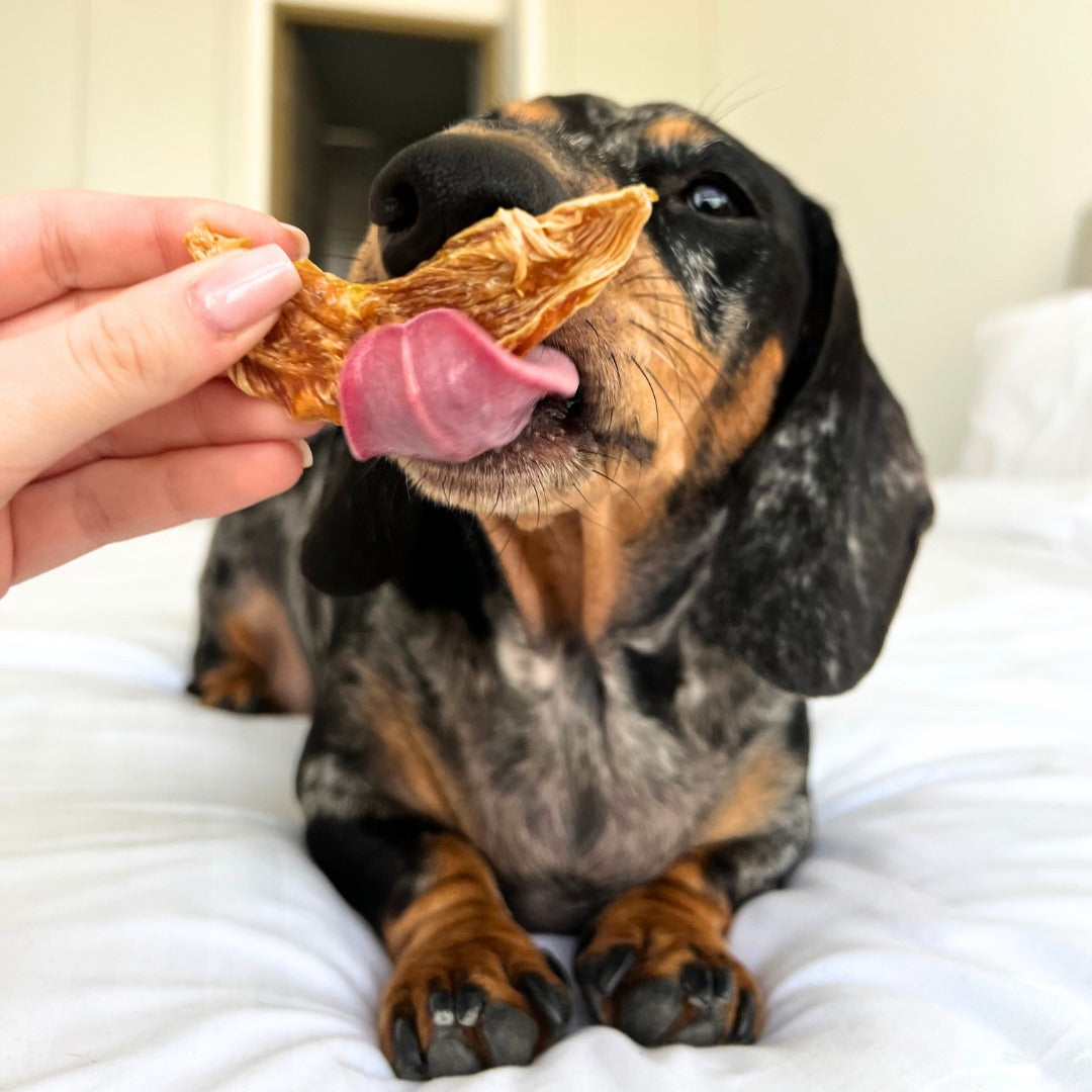 Healthy Dog Treats - Golden Chicken