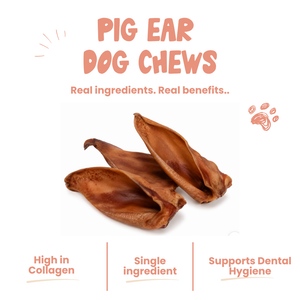 Pig Ear Dog Chews