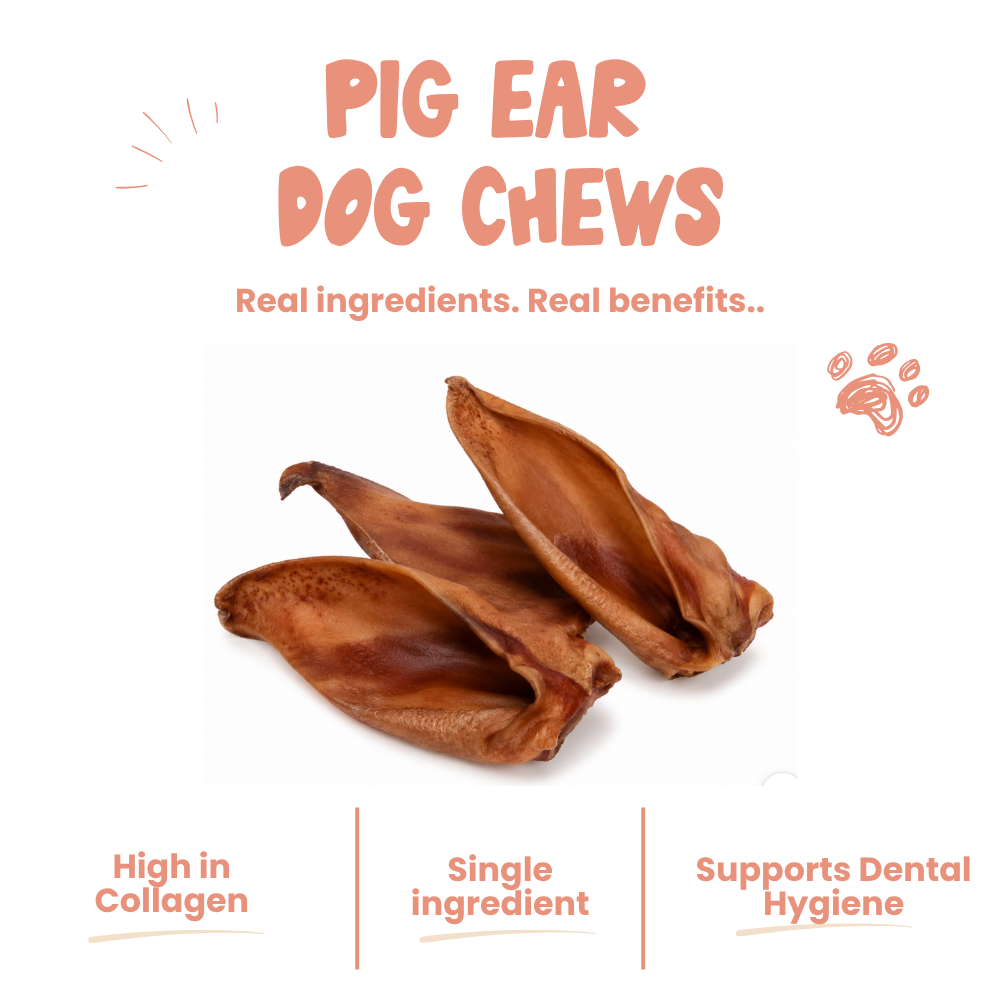 Pig Ear Dog Chews