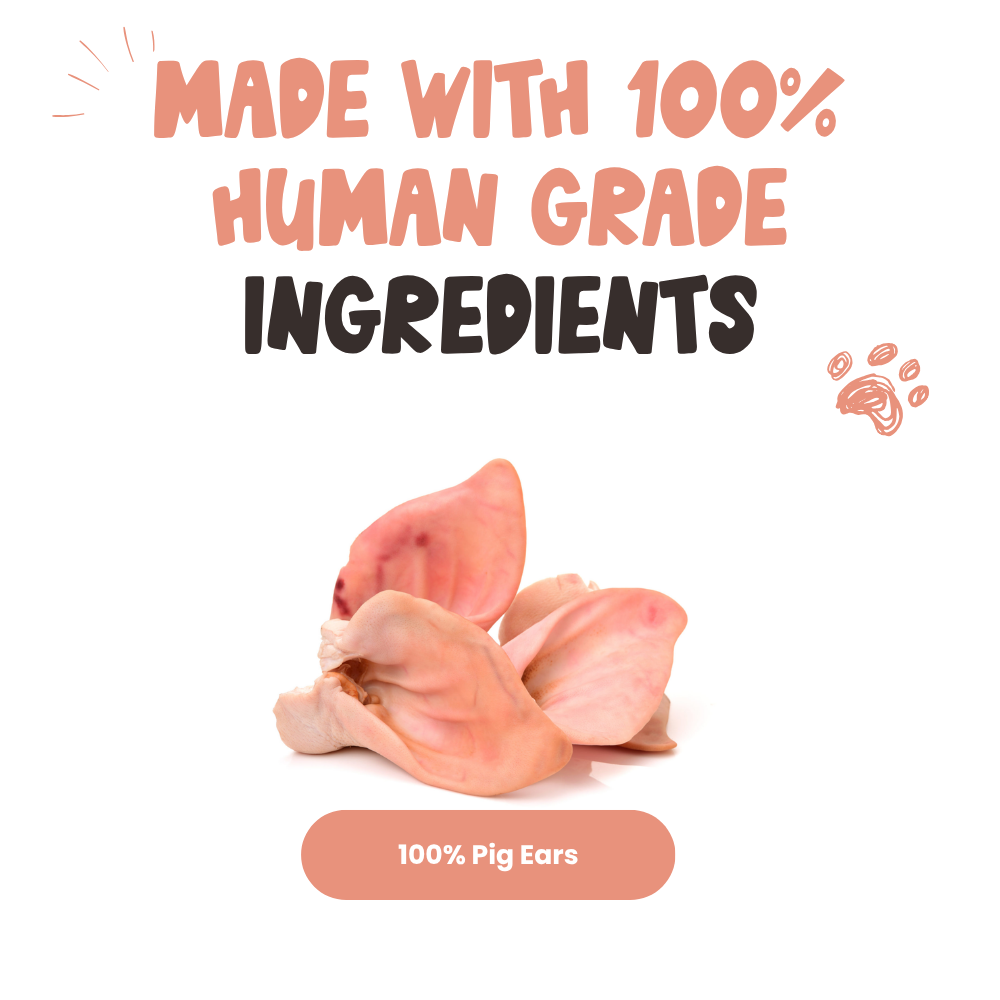 Pig Ear Dog Chews