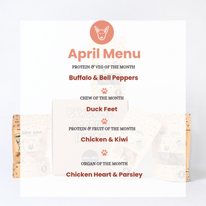 Limited Edition Dog Treat Box - 6 packs