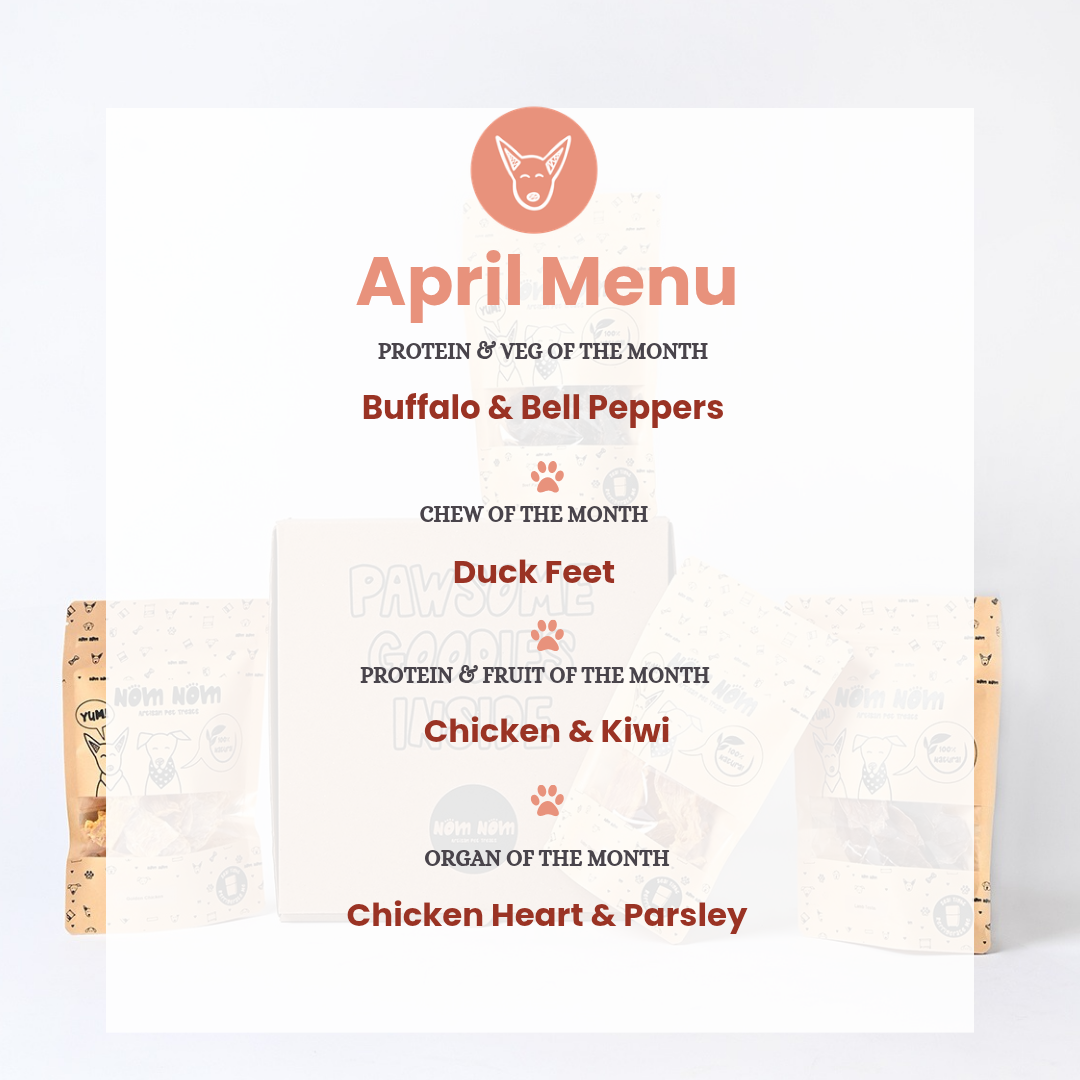 Limited Edition Dog Treat Box - 6 packs