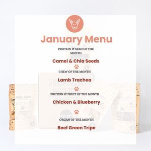 Limited Edition Dog Treat Box - 6 packs