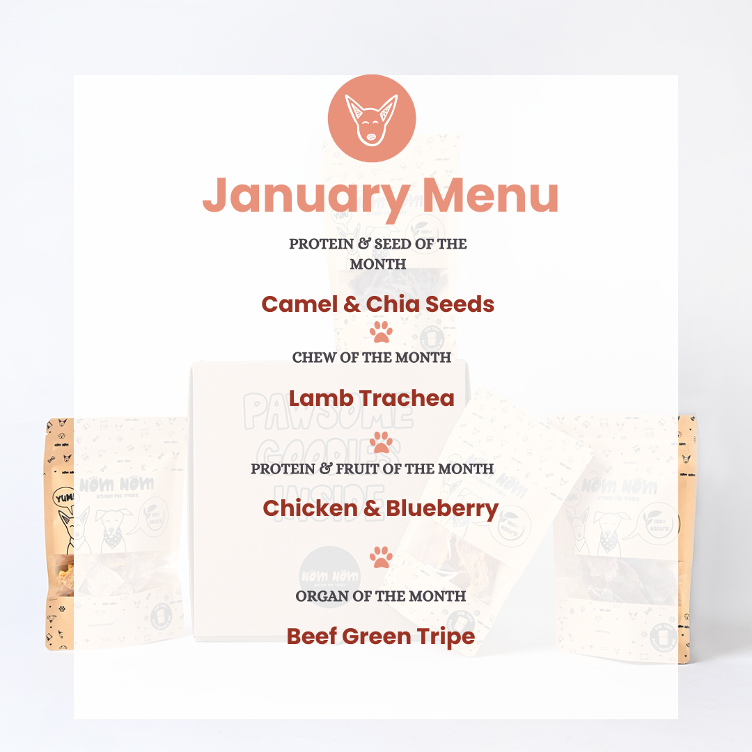 Limited Edition Dog Treat Box - 6 packs