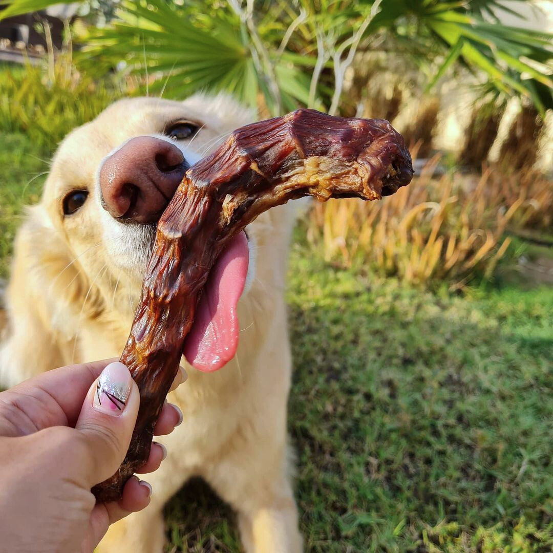 Healthy Dog Treats - Duck Necks