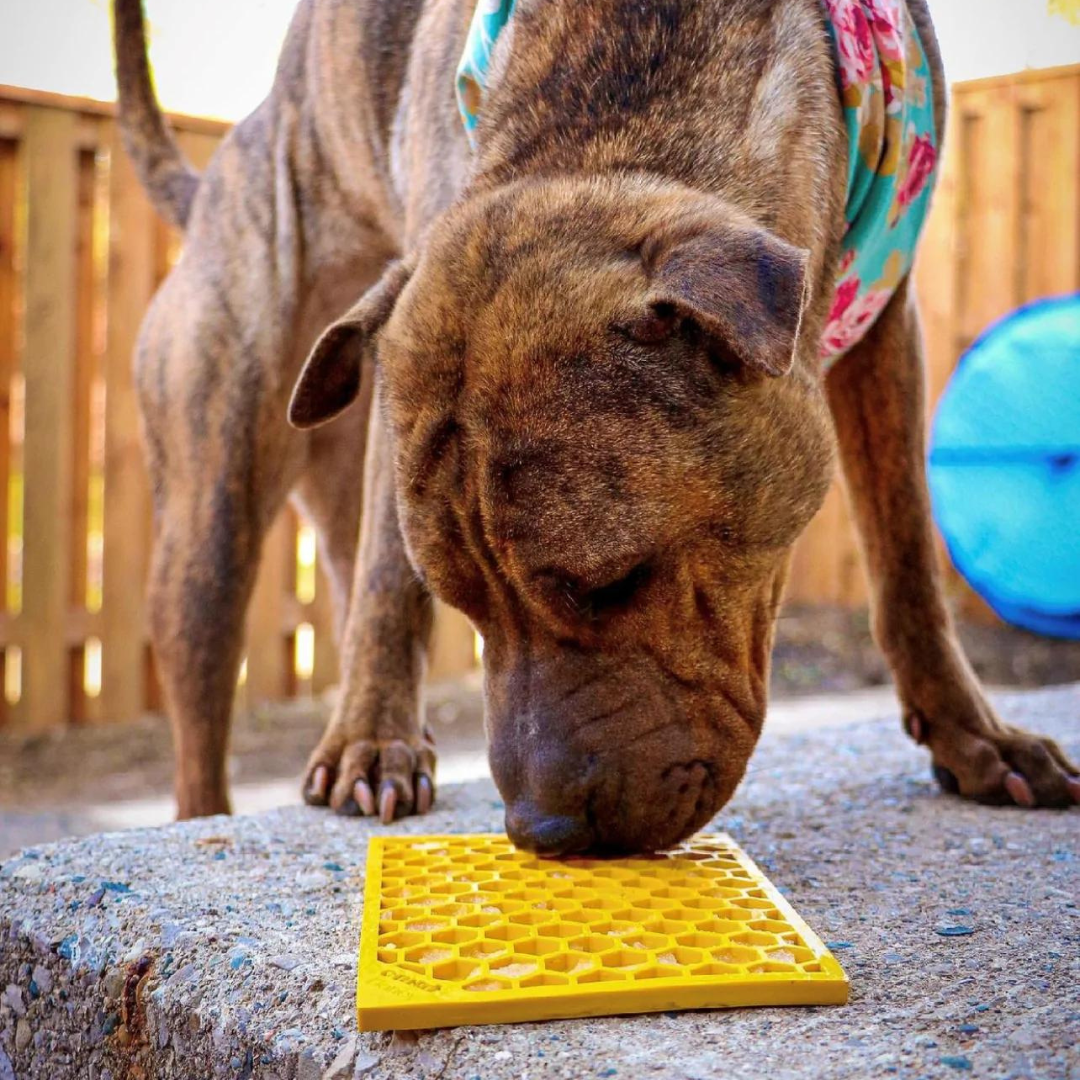 honey lick mat for dogs