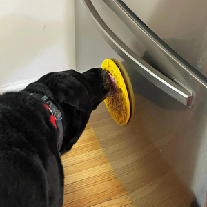 dog licking duck lick mat