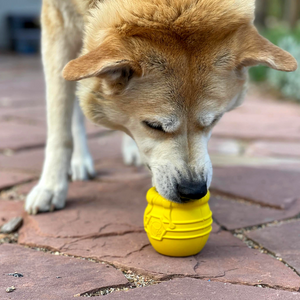 Treat Dispenser Toy - Honey Pot