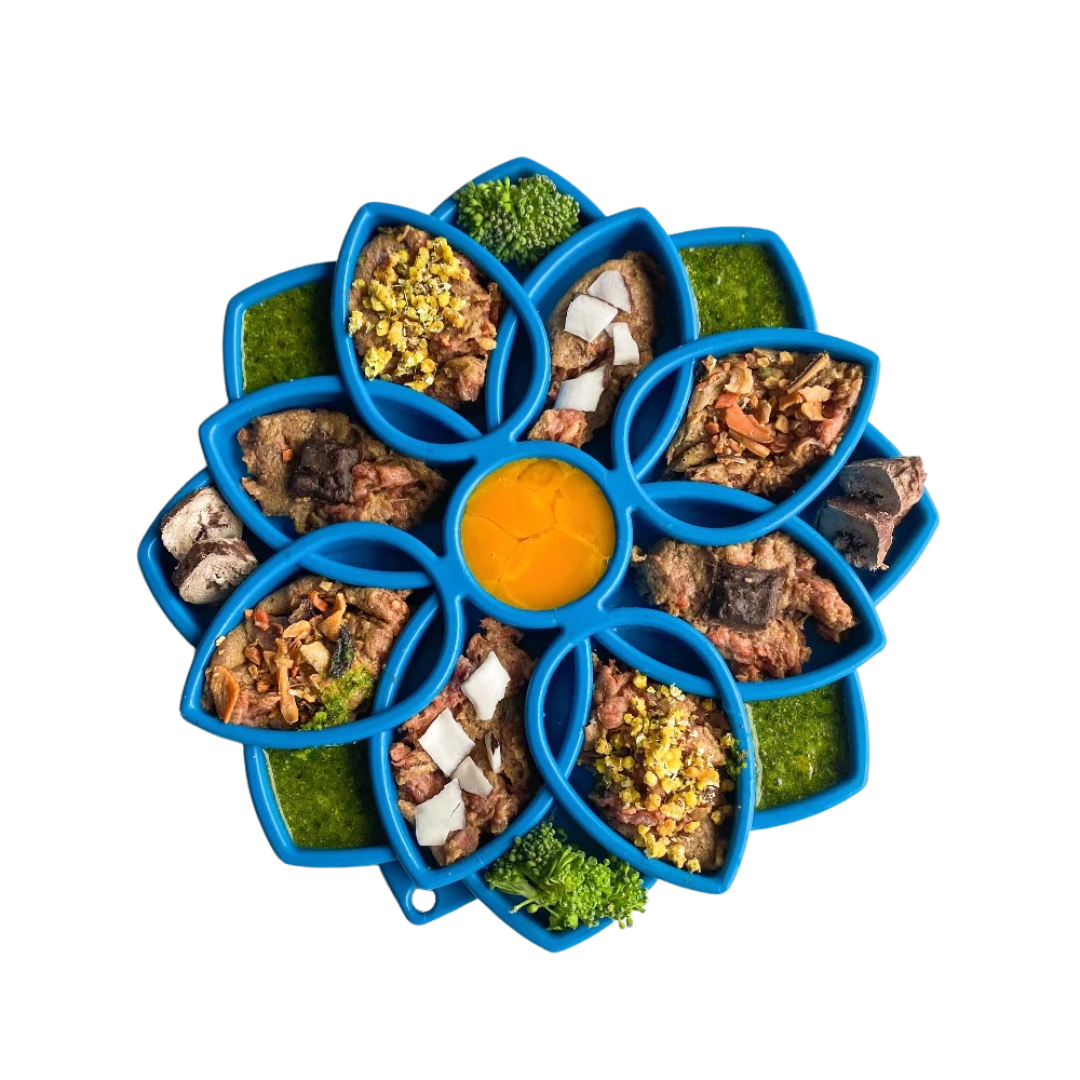 Slow Feeder Tray - Mandala