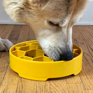 slow feeder dogs bowl honeycomb