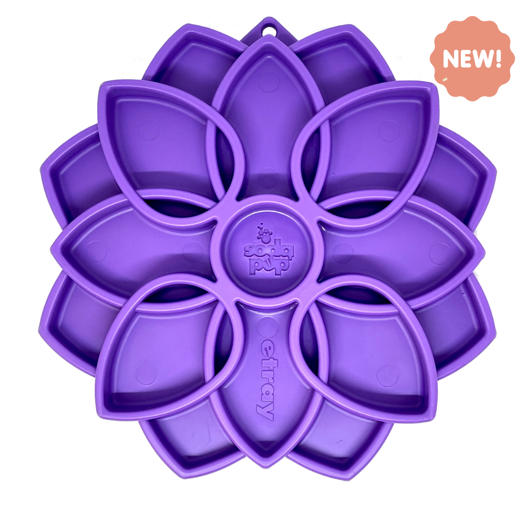 Dog Slow Feeder Tray - Mandala