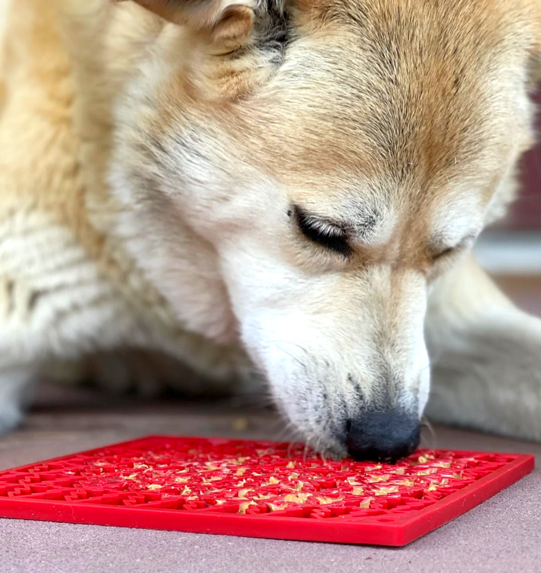 Using a Lick Mat to Get a Dog Mental Stimulation and Release