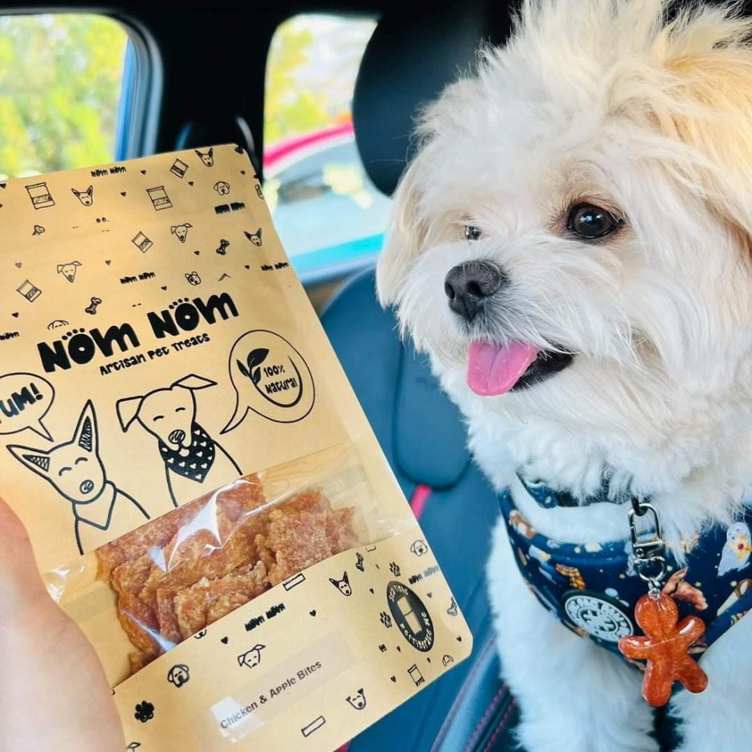 Monthly dog treats online