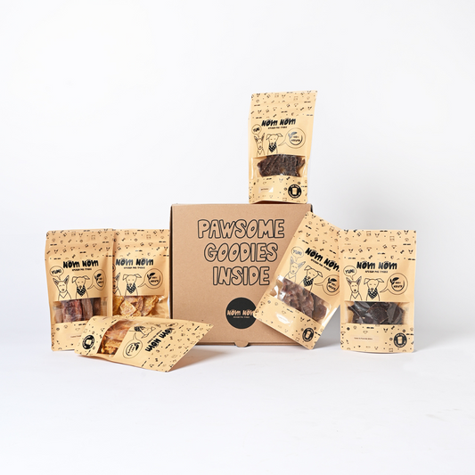 Monthly Dog Subscription Box Dubai Nom Nom pets treat Nom Nom Pet