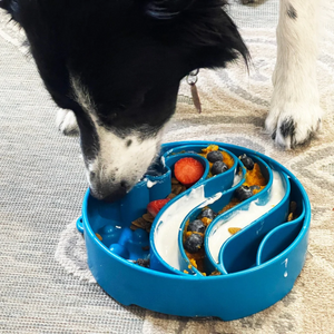 Dog Slow Feeder Bowl - Wave