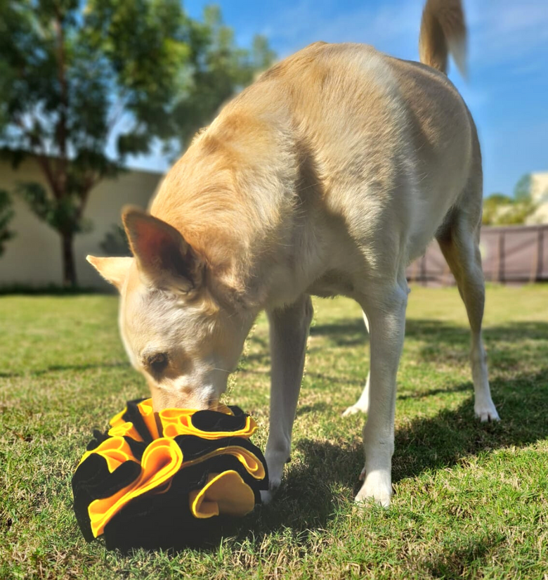 Snuffle Ball Dog Toy Nom Nom Pet Treats – Nom Nom Pet Treats