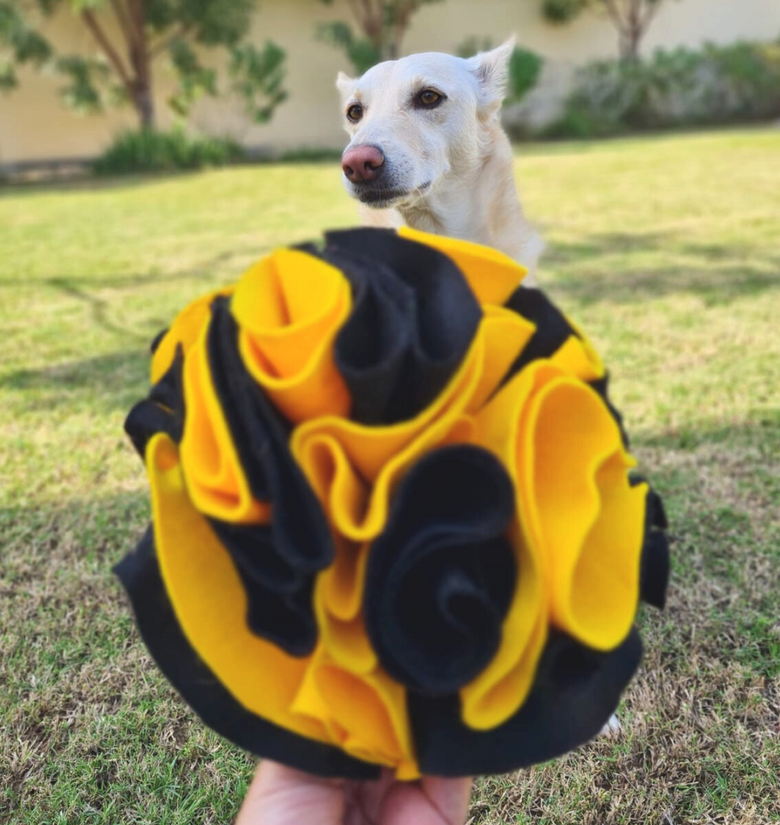 Snuffle Ball Dog Toy  Nom Nom Pet Treats – Nom Nom Pet Treats