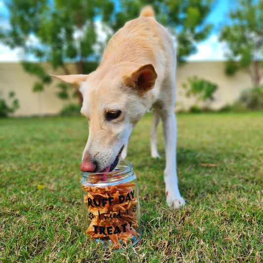 Treat Jar - Ruff Day